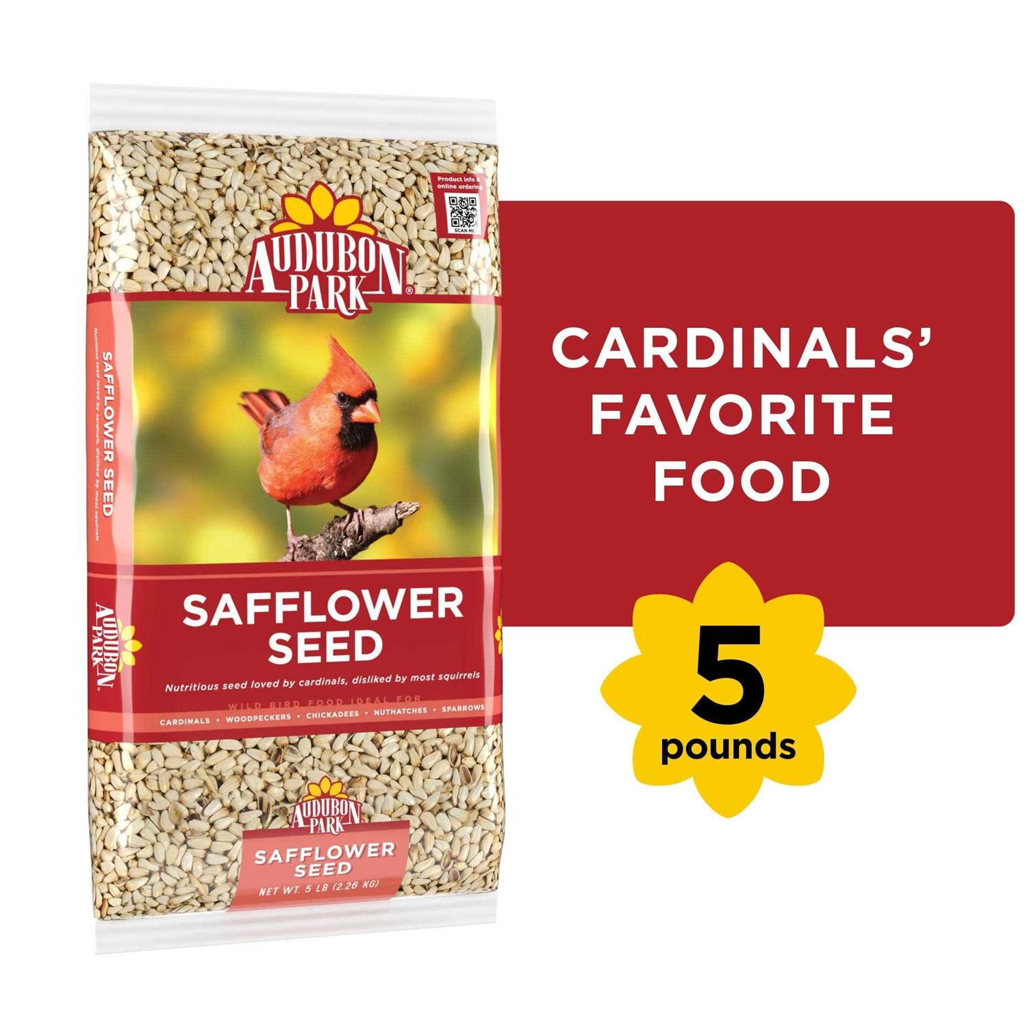 Safflower Seed Wild Bird Food Q7585
