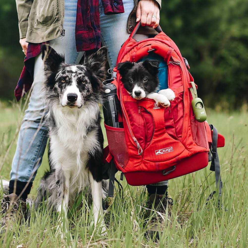 Backpack Dog Carrier P73167