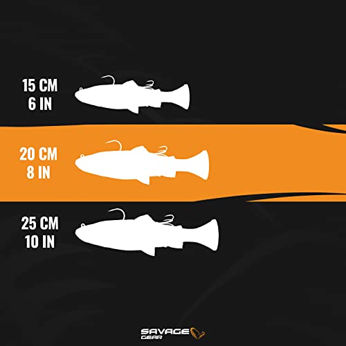 3D Pulse Tail Trout 8" Sinking Lure F53228