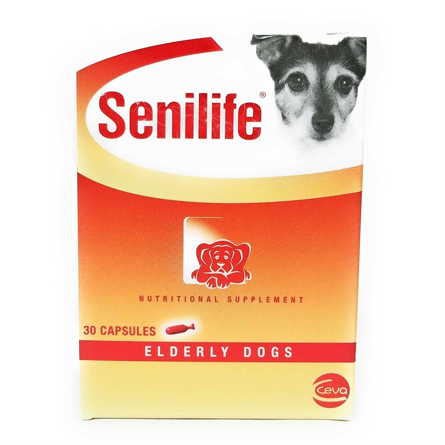 Nutritional Supplement for Elderly Dogs Y3746