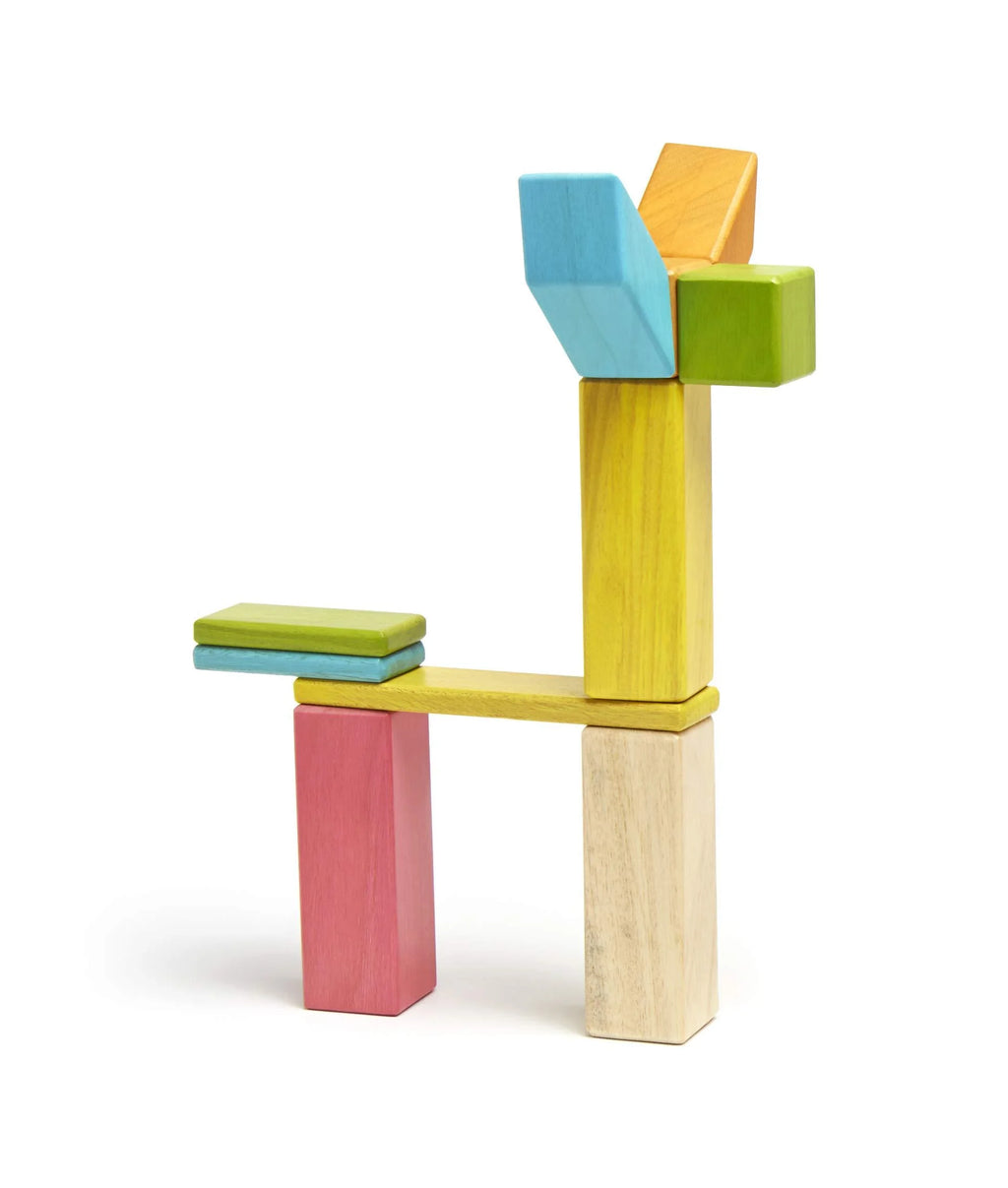24 Piece Magnetic Wooden Block Set F823941