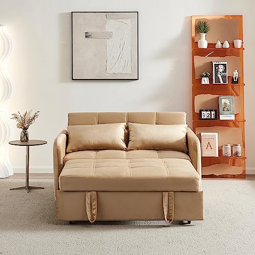 Velvet 3 in 1 Pull-Out Sleeper Sofa Chair E5253