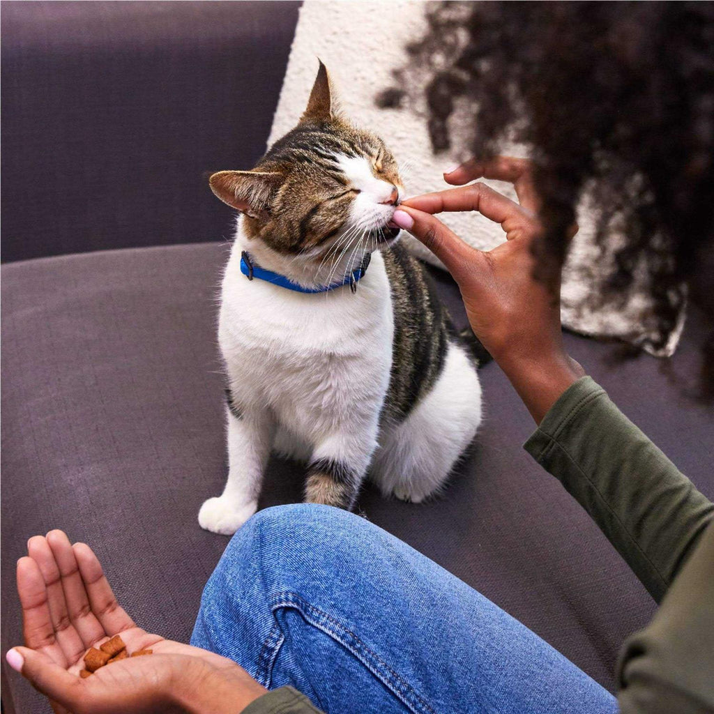 Crunchy Cat Treats R51576