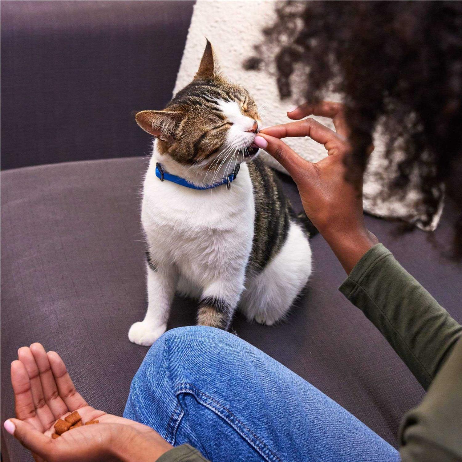 Crunchy Cat Treats R51576