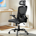 Ergonomic Mesh High Back Desk Chair with Headrest U648