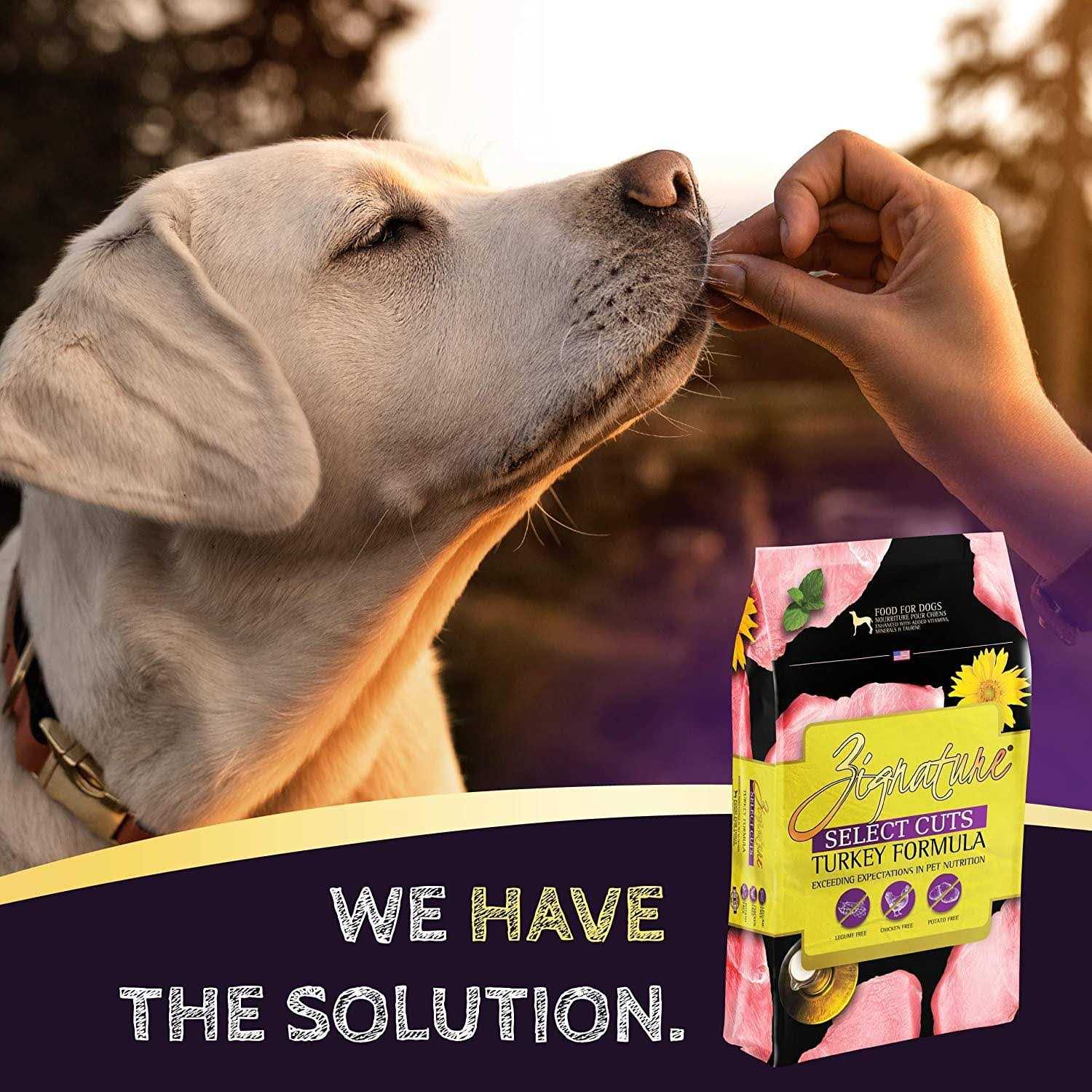 Dry Dog Food Turkey Formula Y477