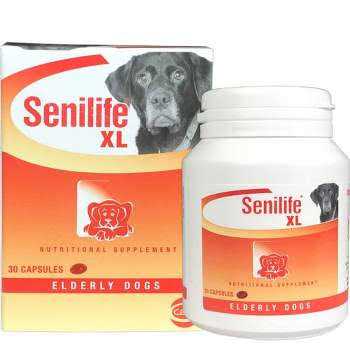Nutritional Supplement for Elderly Dogs Y3746
