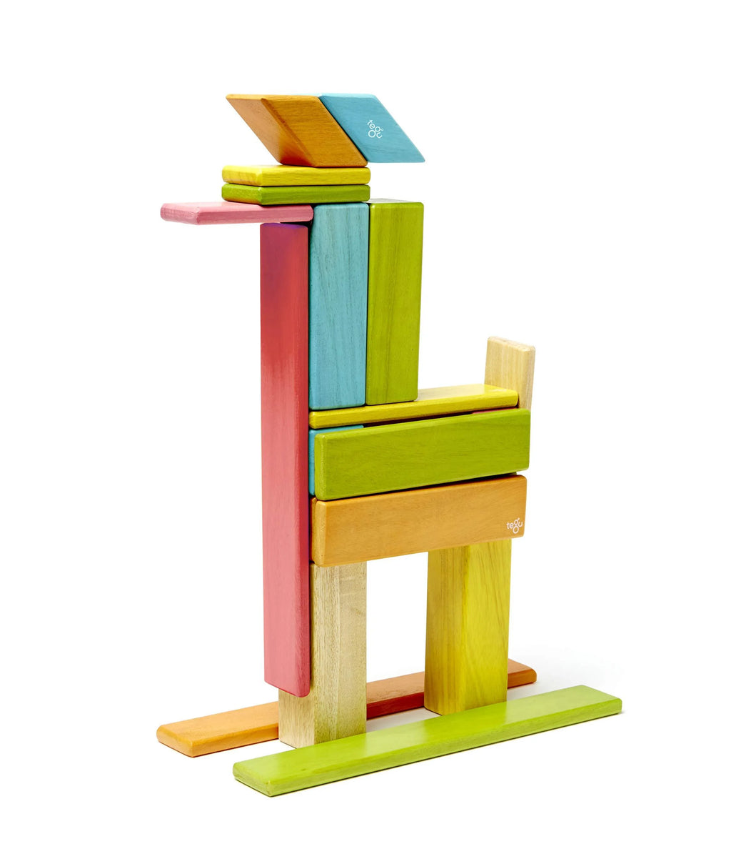 24 Piece Magnetic Wooden Block Set F823941