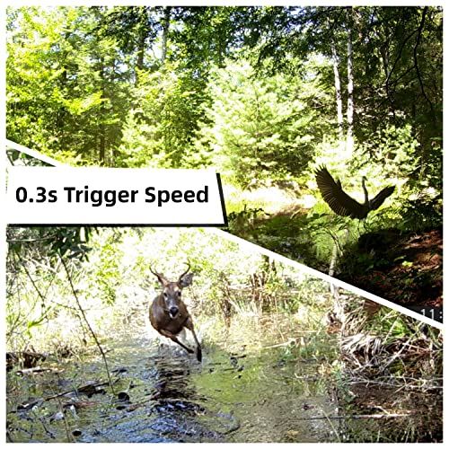 24MP 1080P HD Waterproof Game Camera 2 Pack Z3188