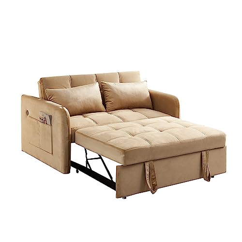 Velvet 3 in 1 Pull-Out Sleeper Sofa Chair E5253