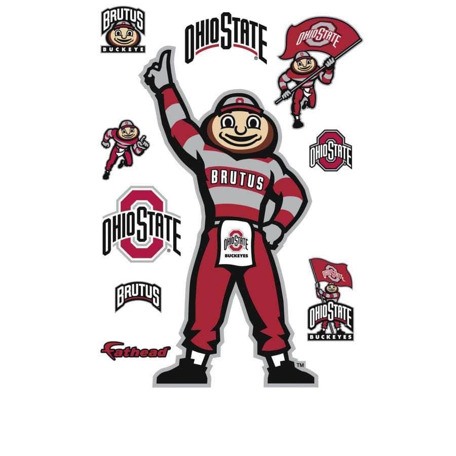 Ohio State Buckeyes Giant Removable Decal T734