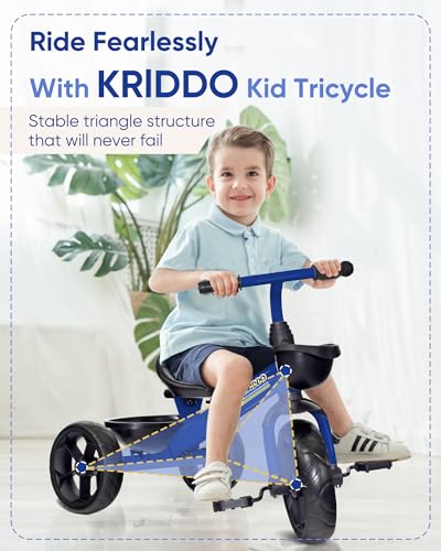 Blue Kids Tricycle P32635